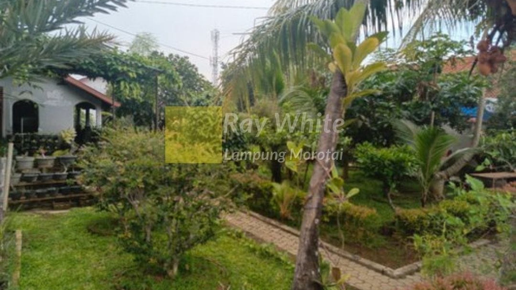 Dijual Rumah di Way Halim, Bandar Lampung