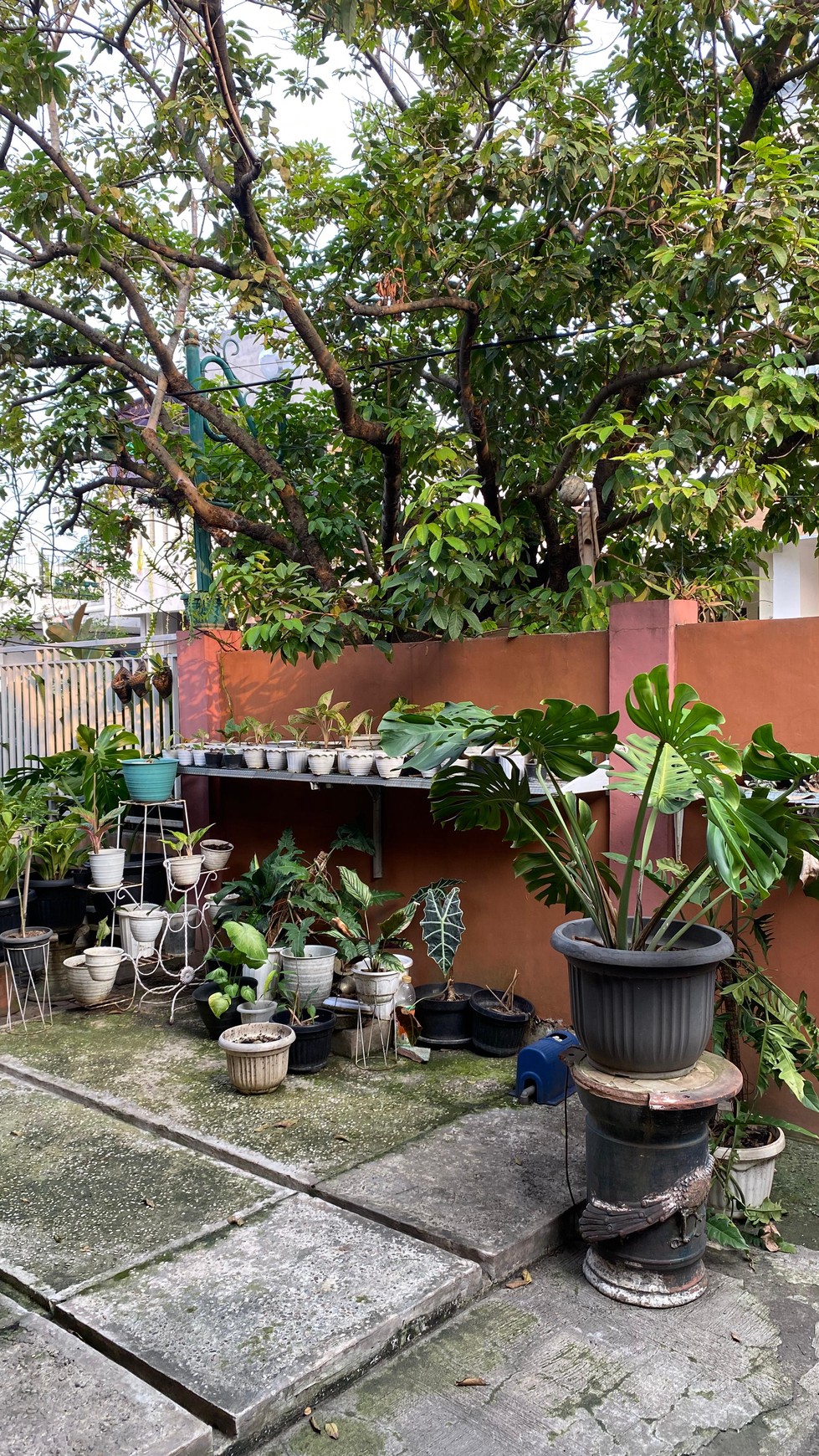 Rumah Siap Huni dengan Hunian Asri dan Nyaman @Neglasari, Tangerang 