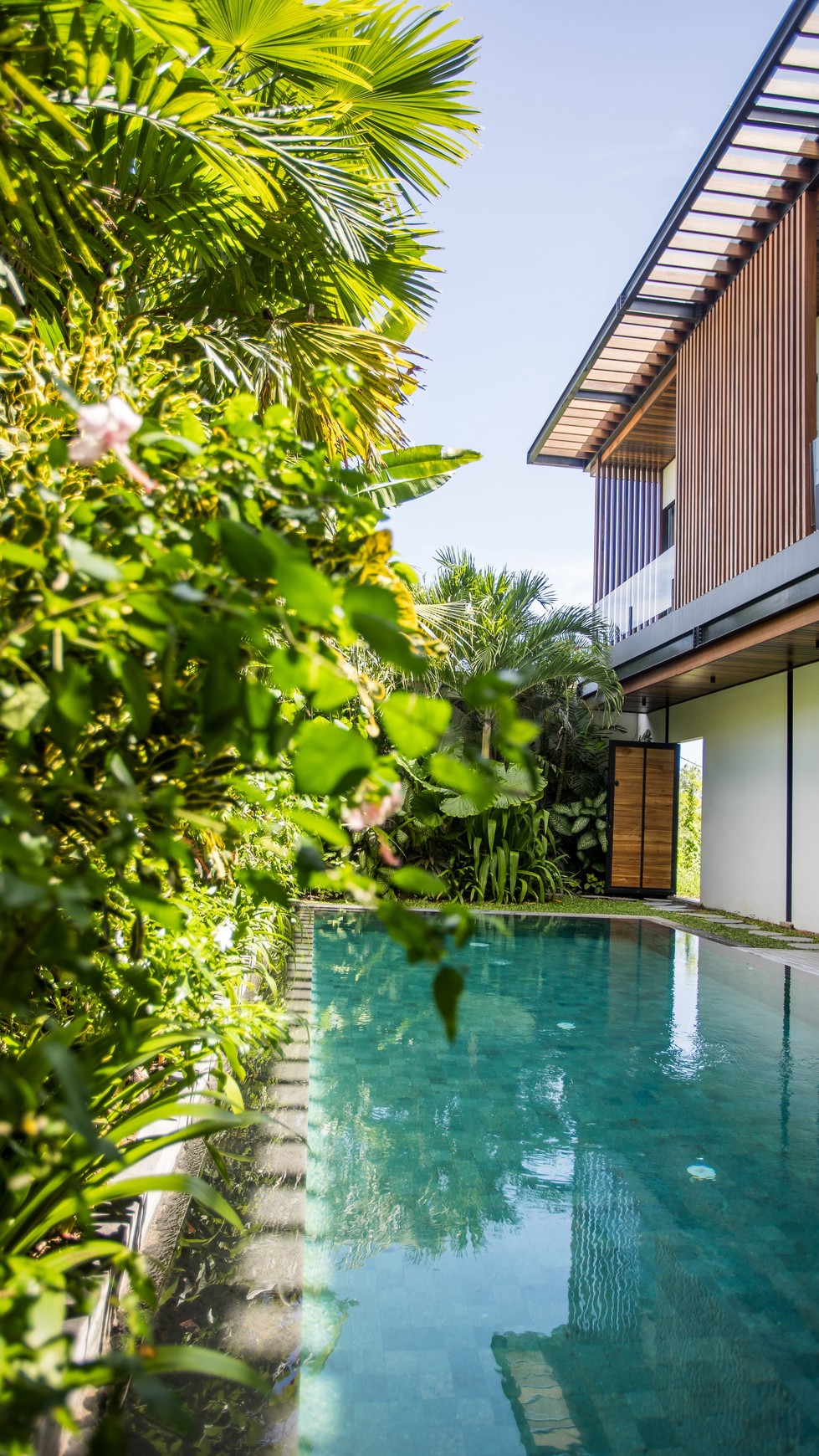 Leasehold brand new modern  villa 5 bedroom with good ROI with view jungle, Canggu