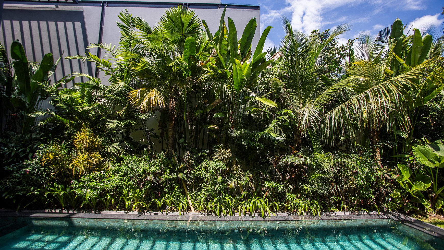 Leasehold brand new modern  villa 5 bedroom with good ROI with view jungle, Canggu