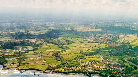 Land freehold In Kedunggu Tabanan