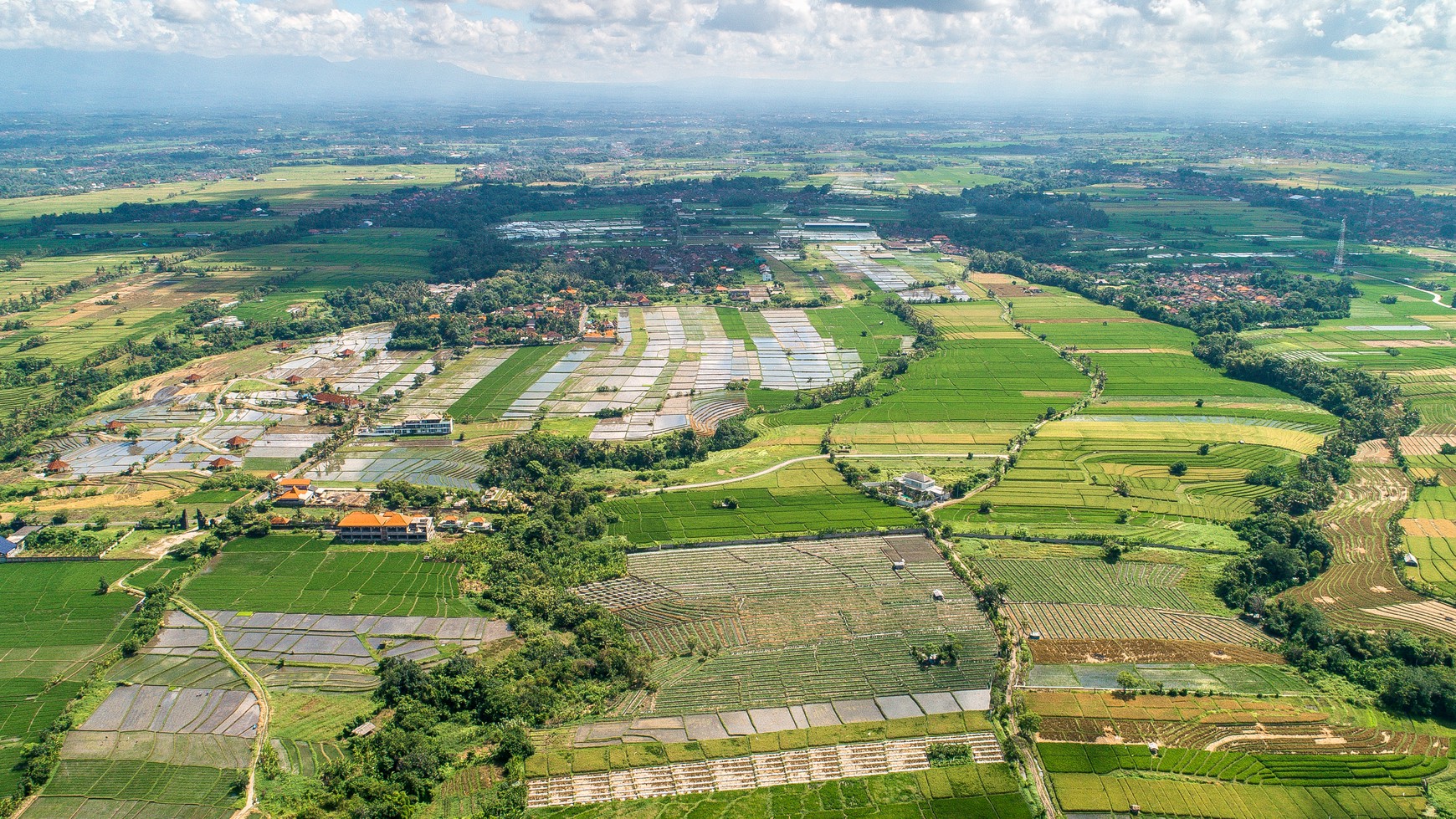 Land freehold In Kedunggu Tabanan