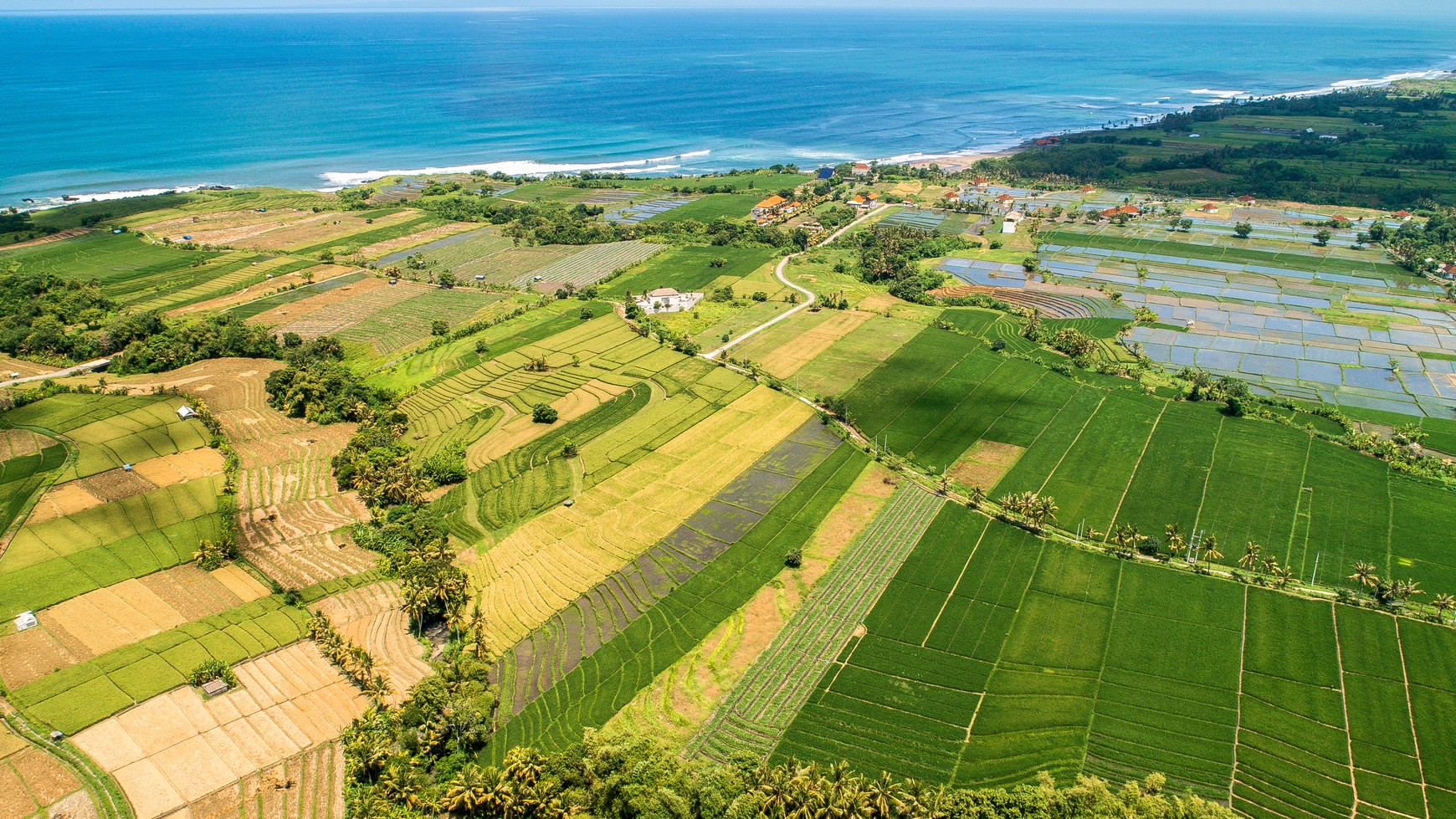 Land freehold In Kedunggu Tabanan