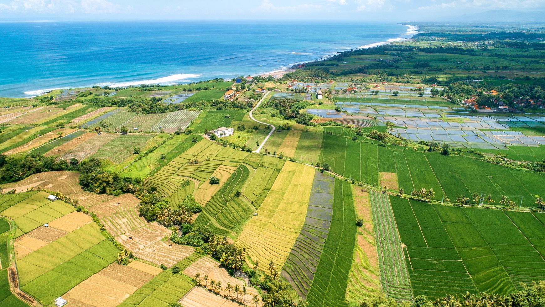 Land freehold In Kedunggu Tabanan