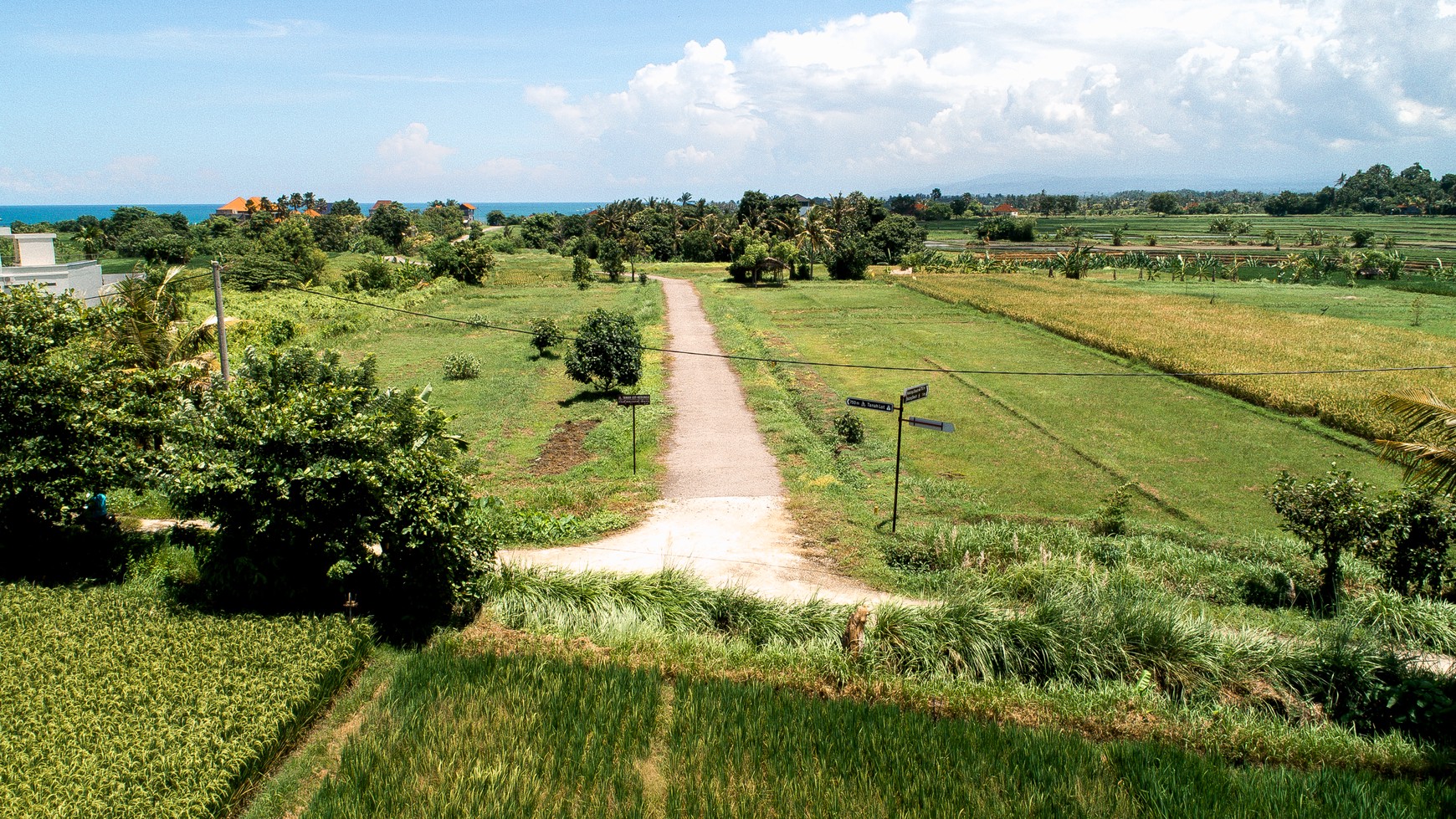 Land freehold In Kedunggu Tabanan