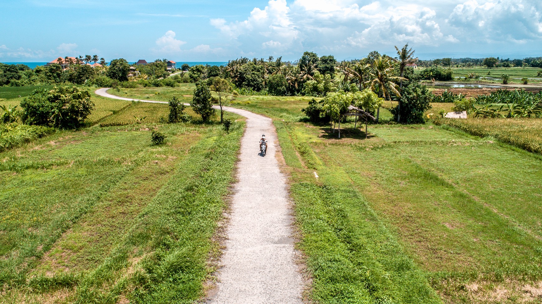 Land freehold In Kedunggu Tabanan