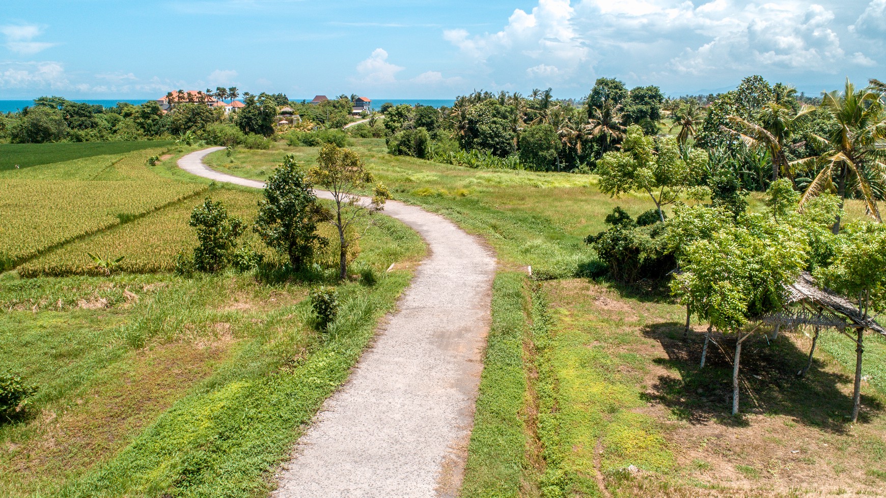 Land freehold In Kedunggu Tabanan