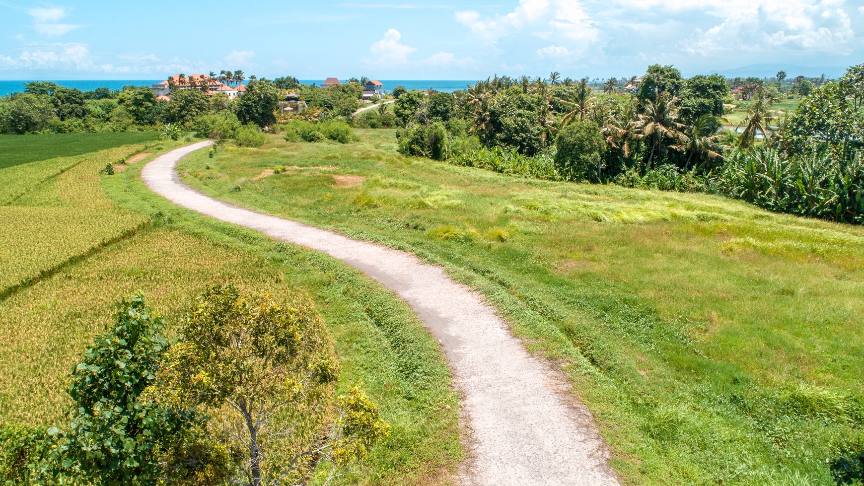 Land freehold In Kedunggu Tabanan