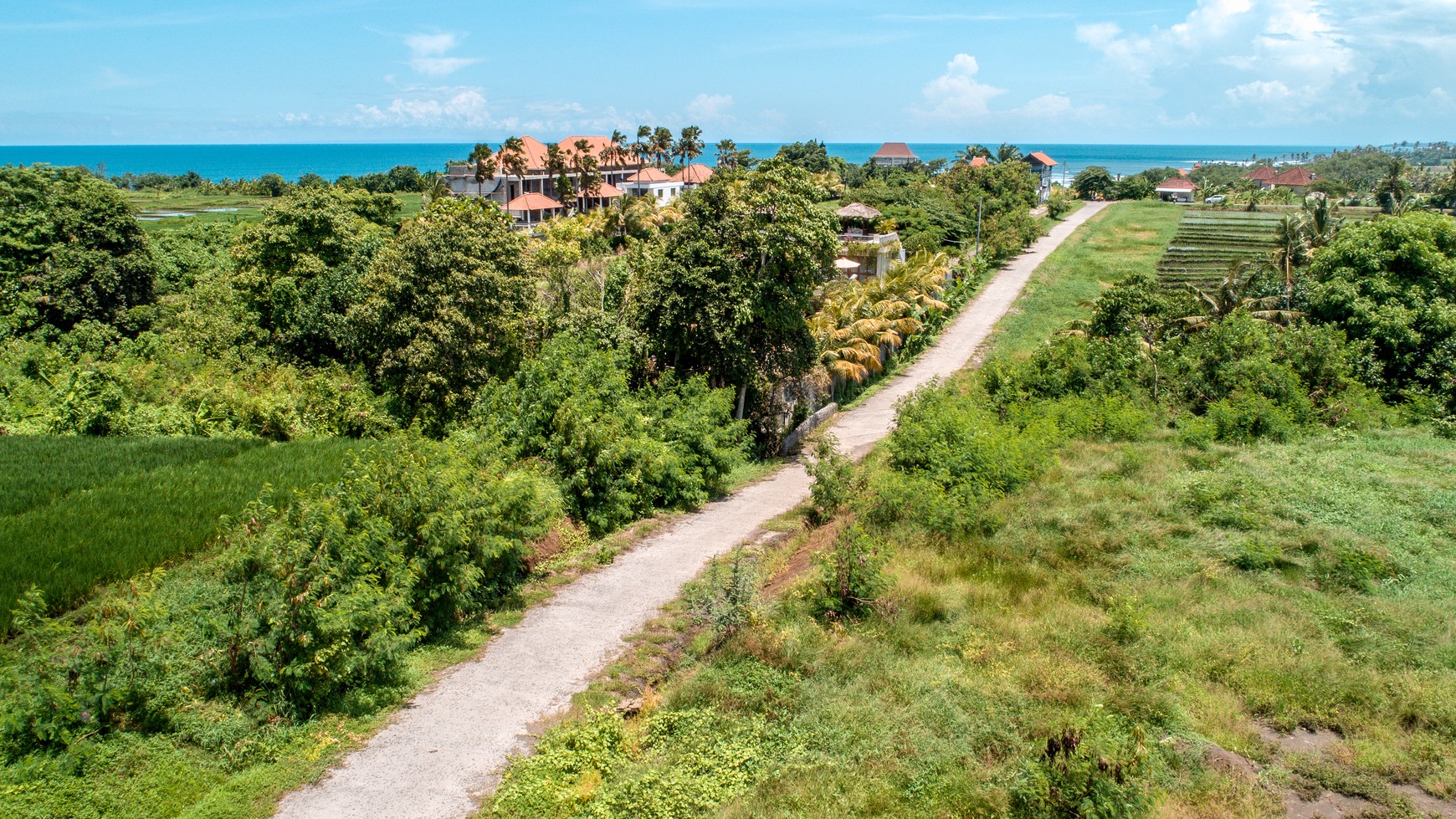 Land freehold In Kedunggu Tabanan