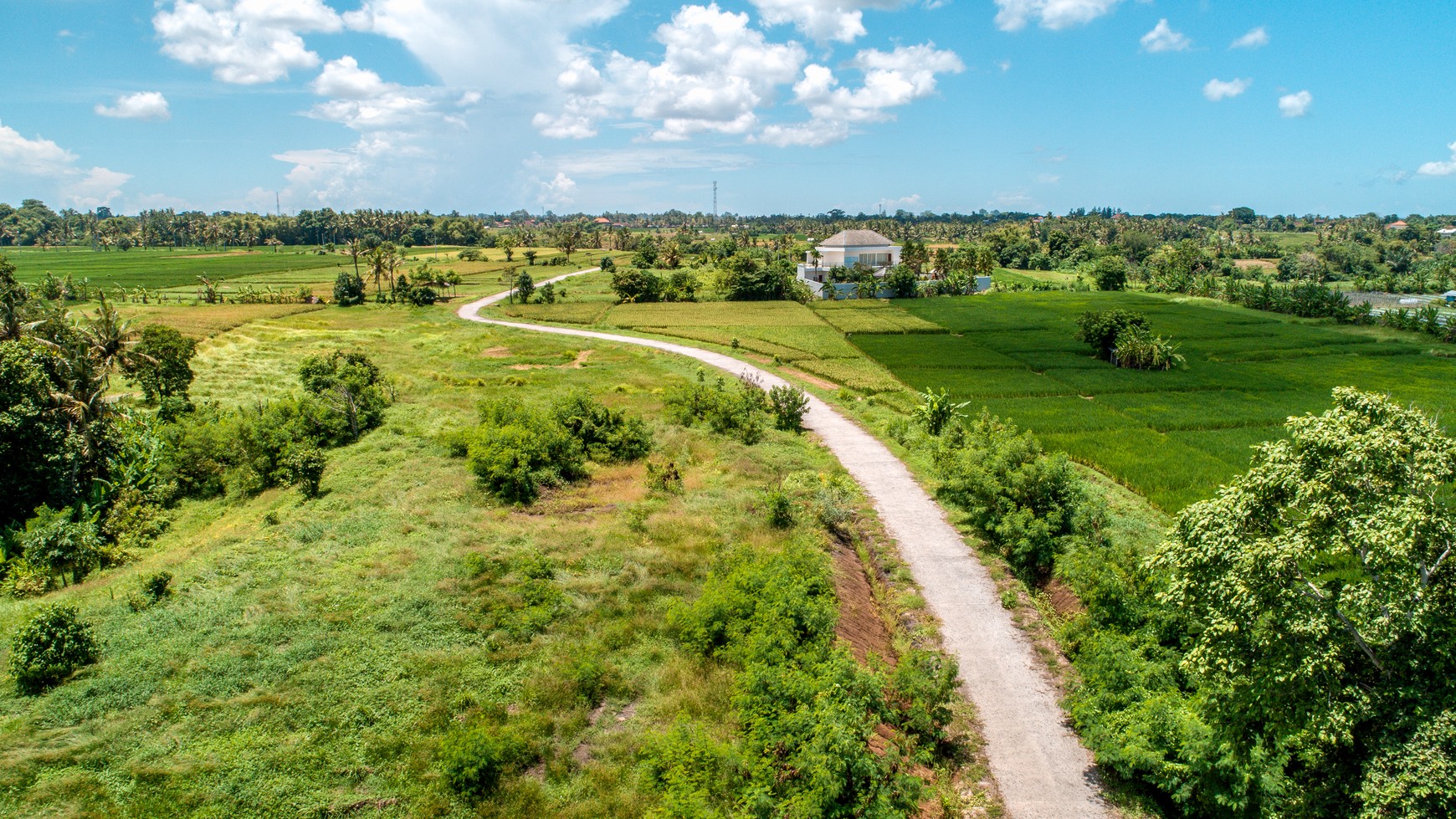 Land freehold In Kedunggu Tabanan