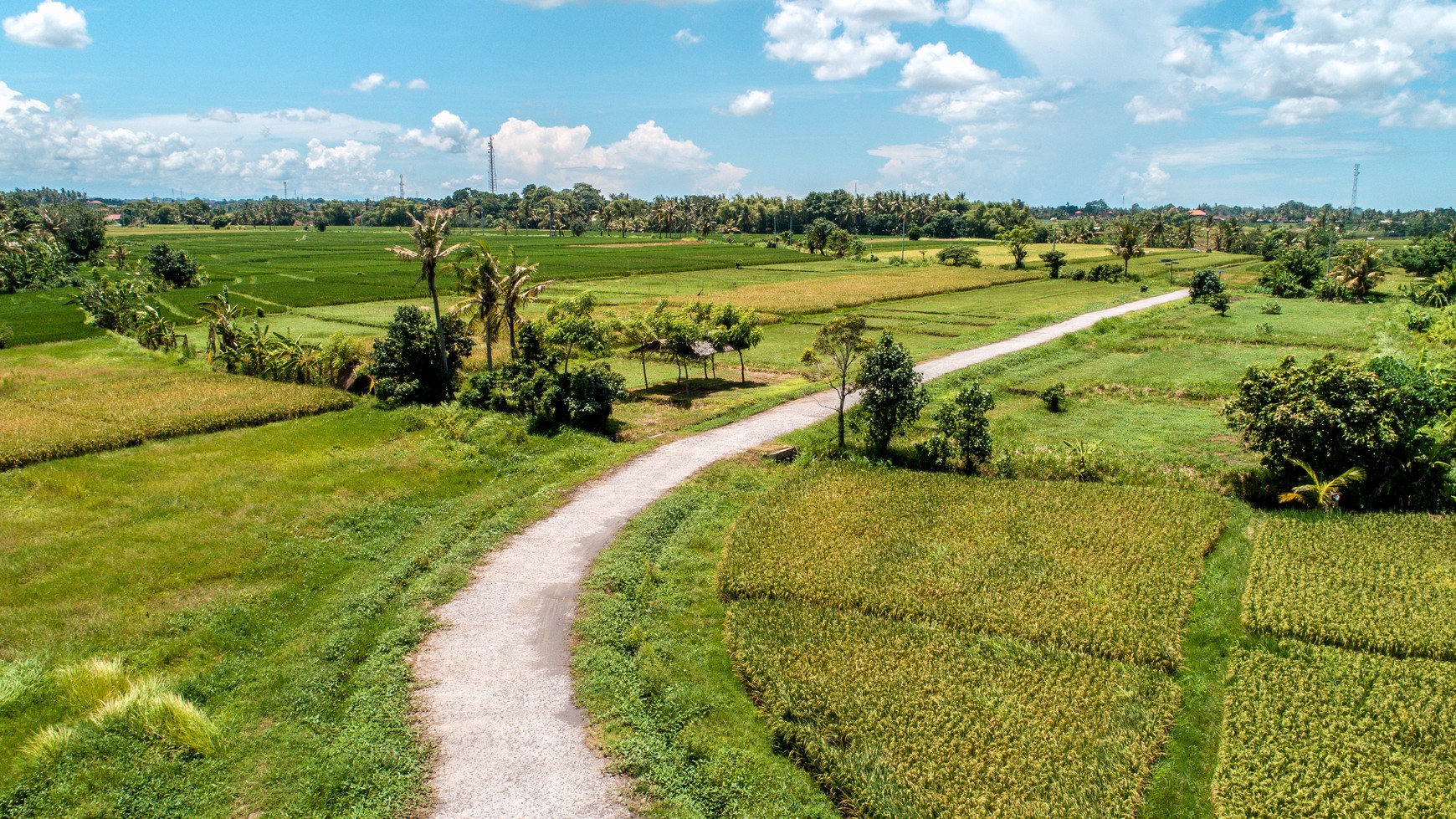 Land freehold In Kedunggu Tabanan