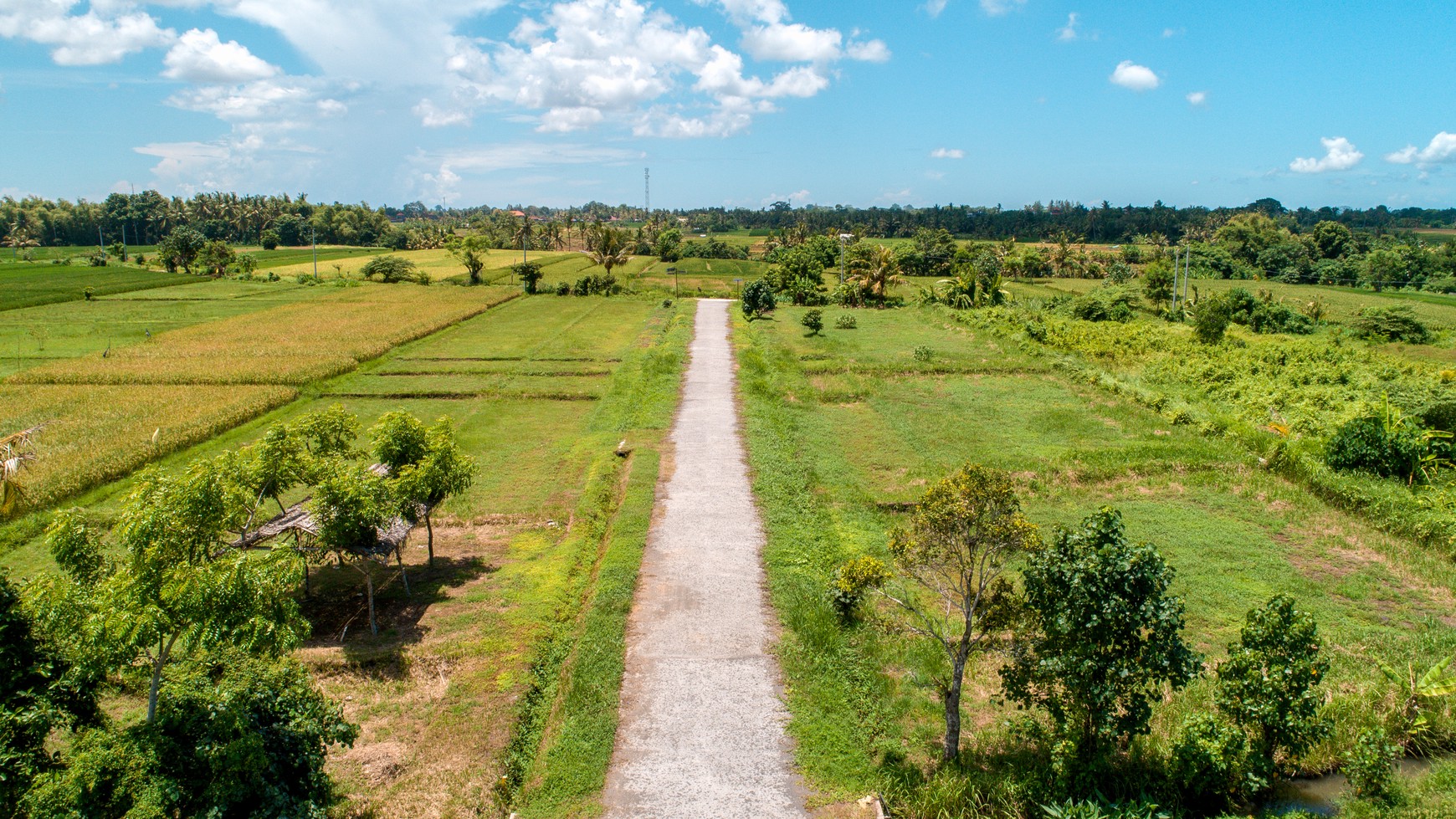 Land freehold In Kedunggu Tabanan