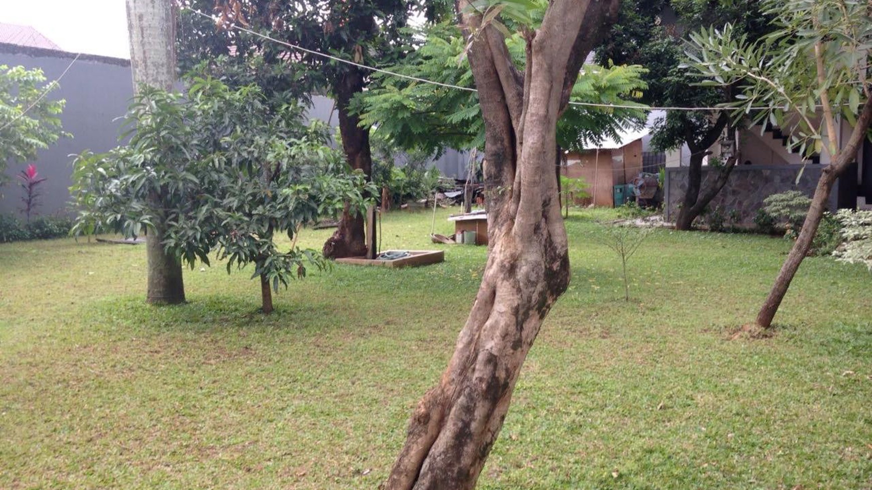 Rumah Bagus Di Jl Lagga Raya Lenteng Agung Jakarta Selatan