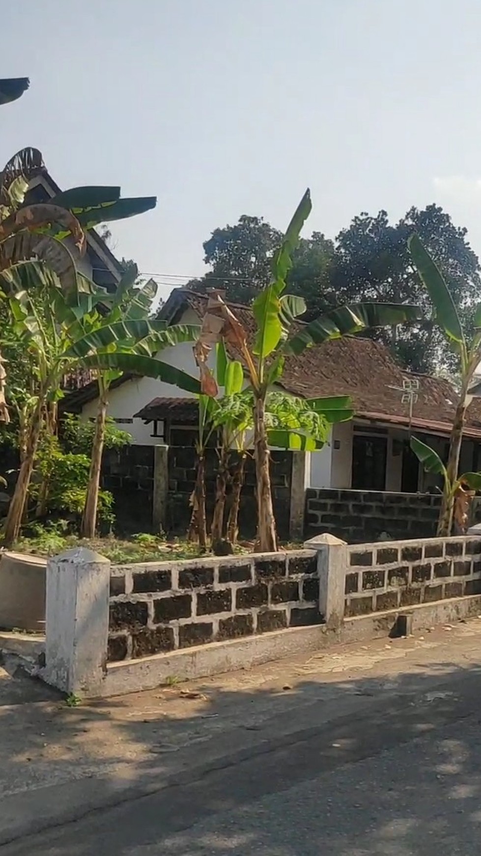 Tanah Pekarangan 222 Meter Persegi Cocok Untuk Rumah Tinggal Di Triharjo Sleman 