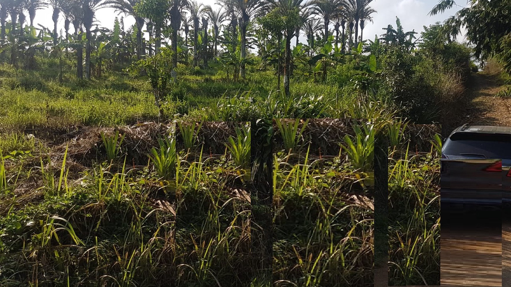 Kavling siap bangun di Sukabumi