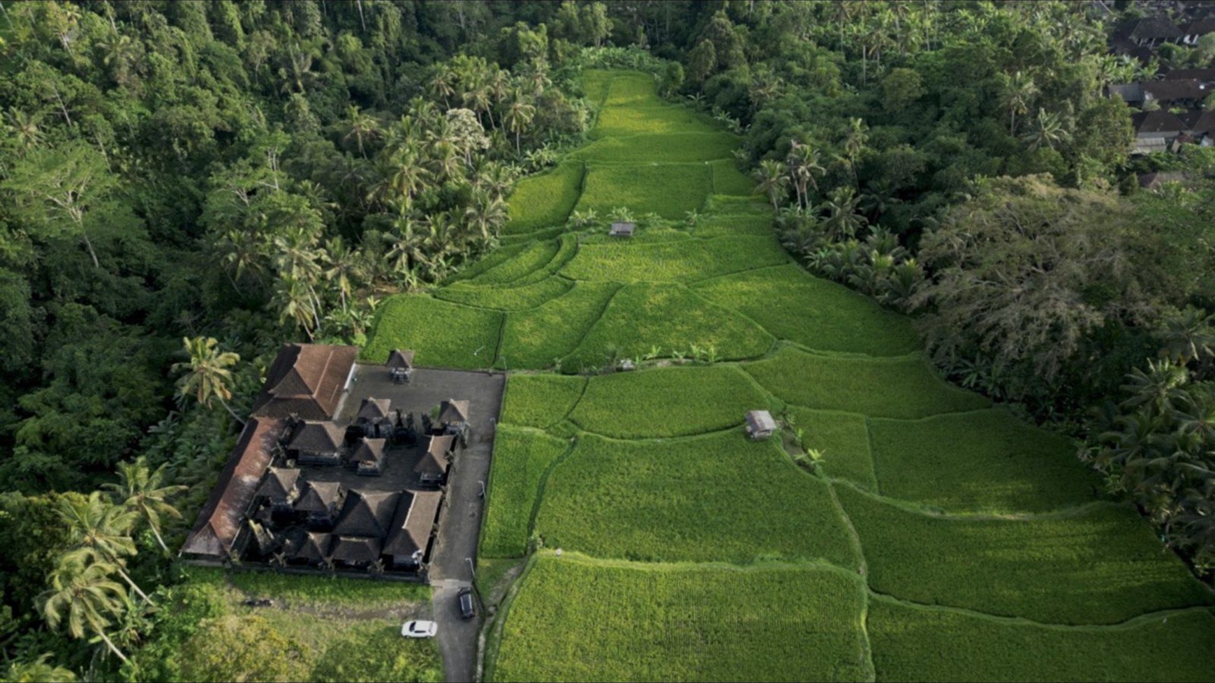 For Sale Leasehold - Rare land in heart of Ubud surrounded by beautiful waterfalls and canyons