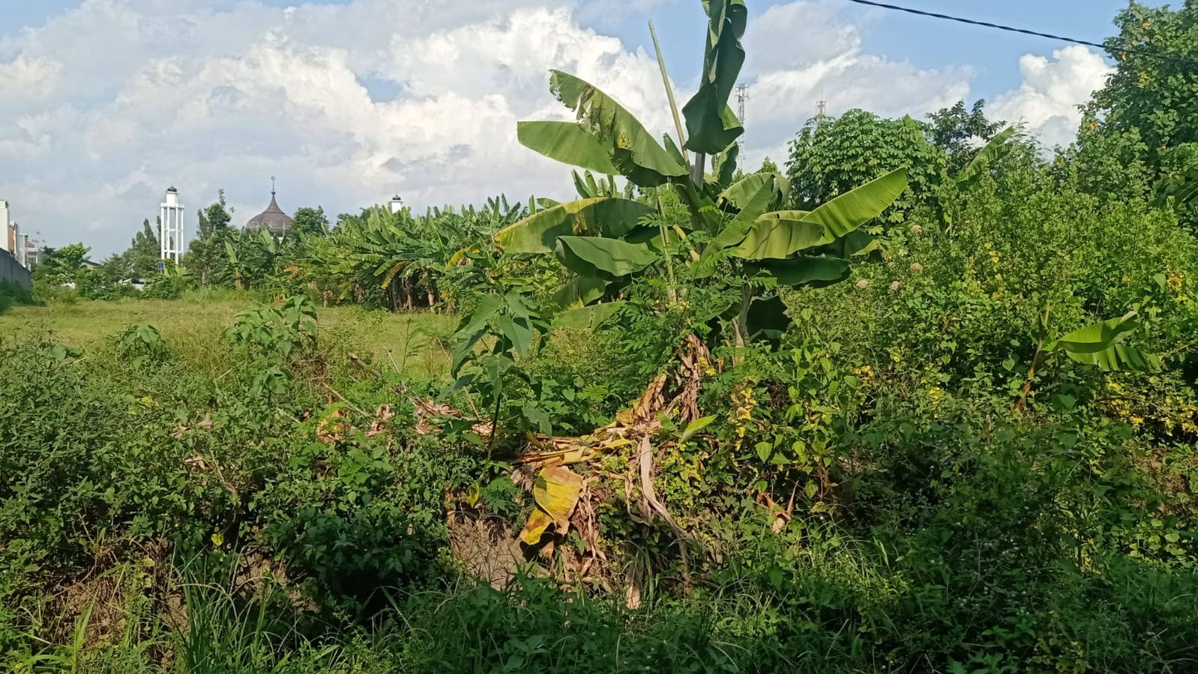 Tanah Sawah Luas 539 Meter Persegi Lokasi Strategis di Kasihan Bantul 