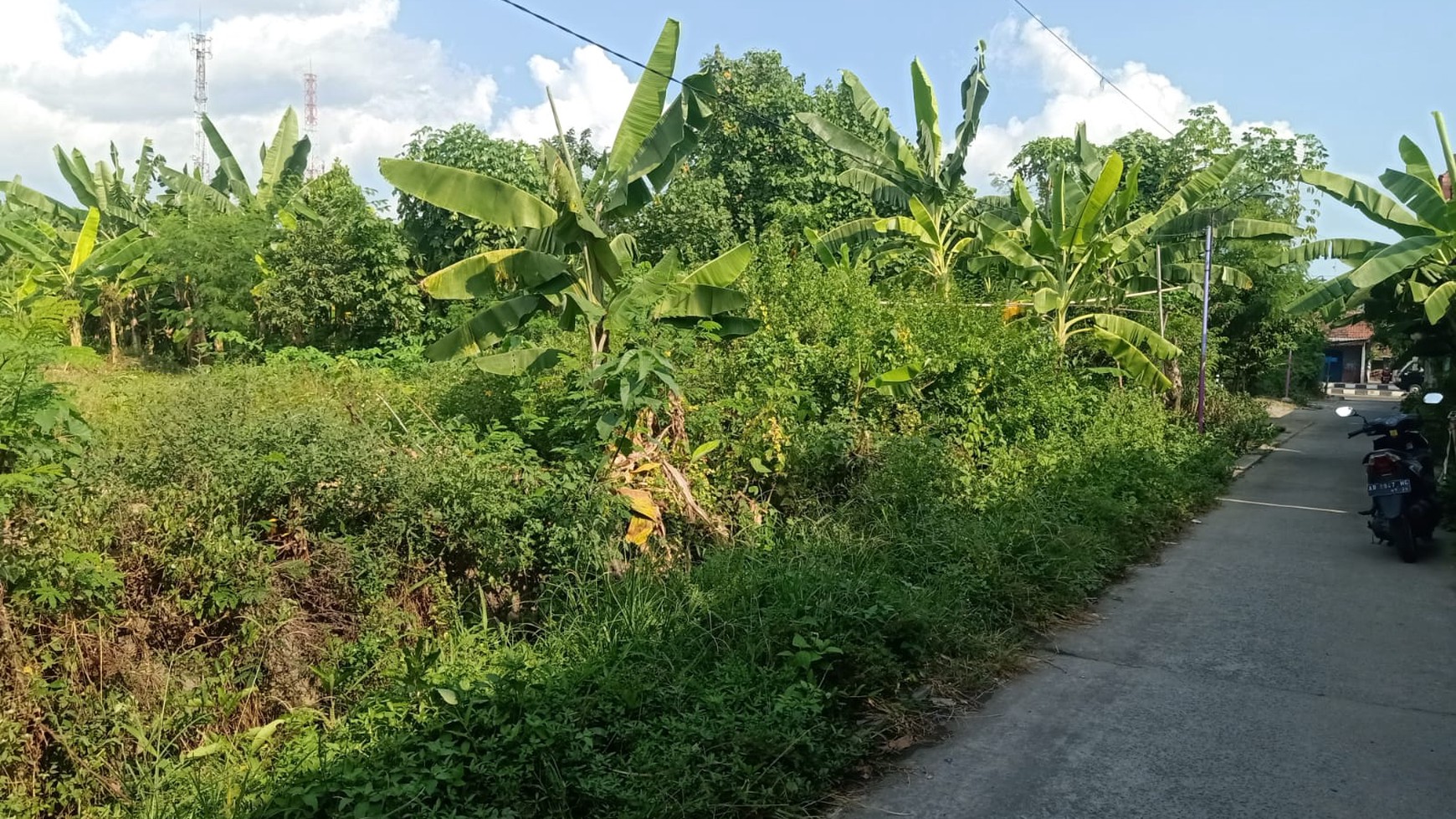 Tanah Sawah Luas 539 Meter Persegi Lokasi Strategis di Kasihan Bantul 