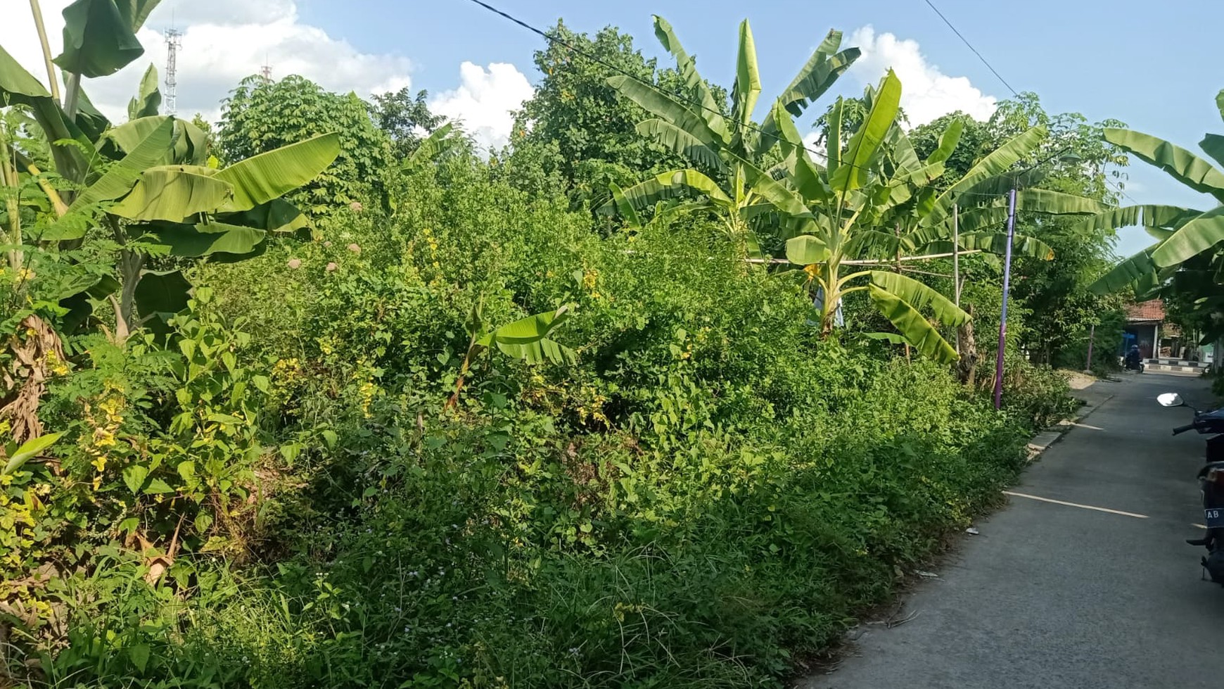 Tanah Sawah Luas 539 Meter Persegi Lokasi Strategis di Kasihan Bantul 