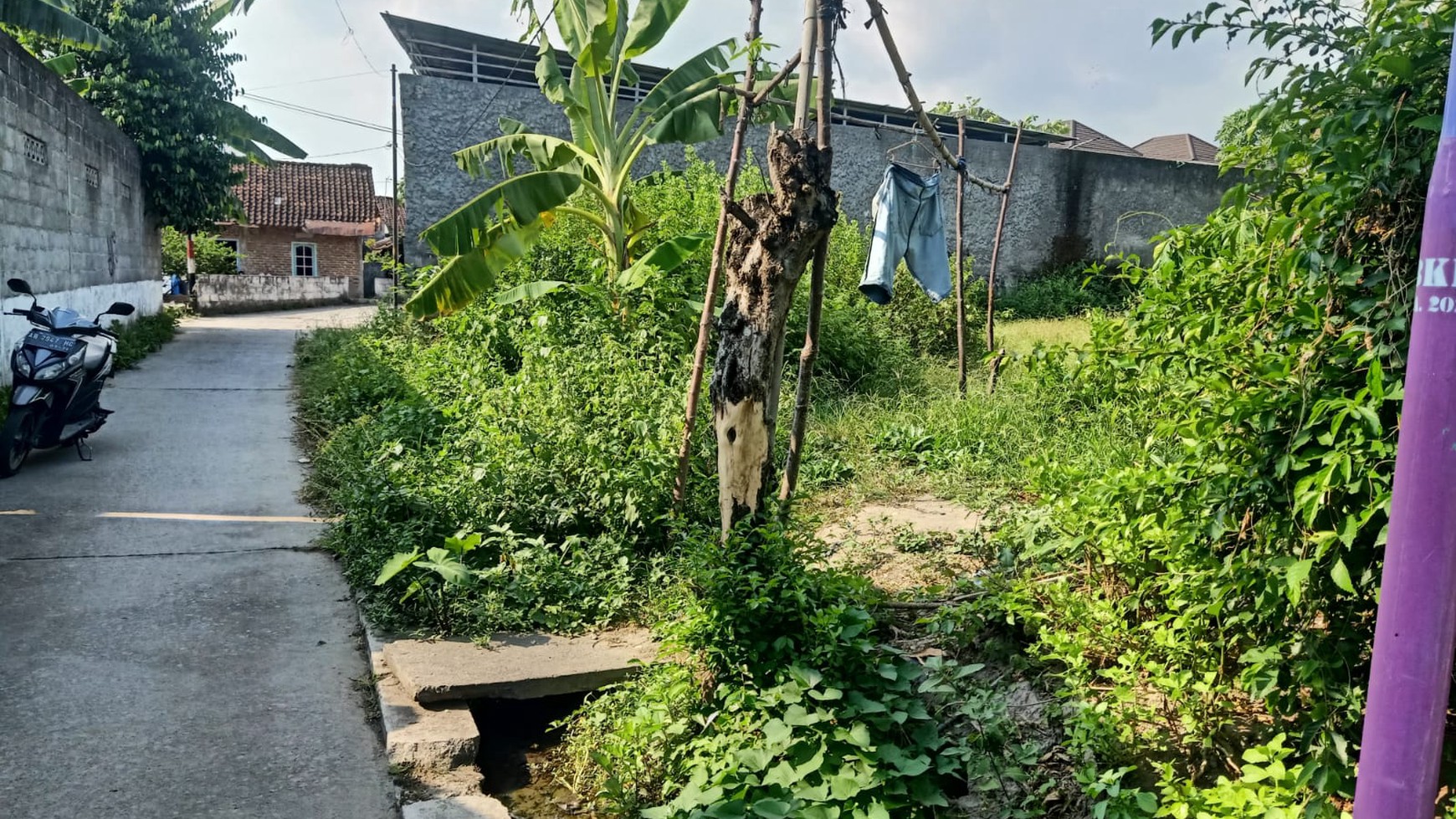 Tanah Sawah Luas 539 Meter Persegi Lokasi Strategis di Kasihan Bantul 