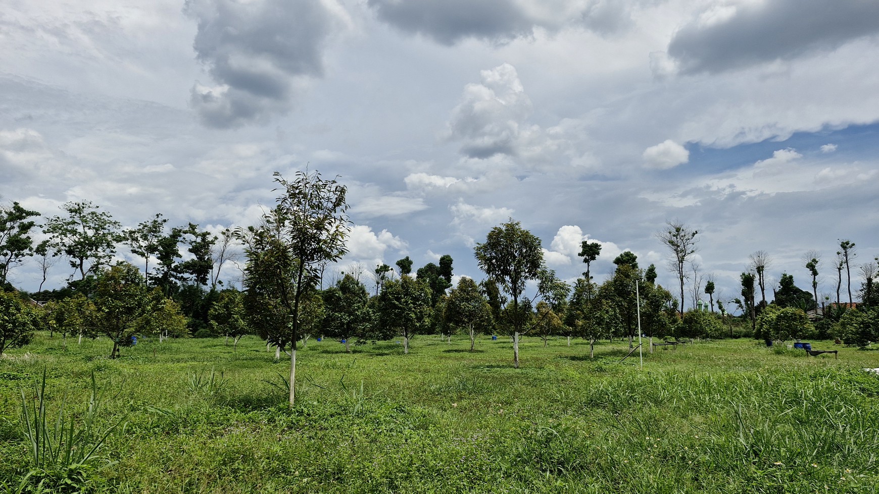 4.5 Hektar Lahan dan Pabrik di Pasir Angin Cileungsi