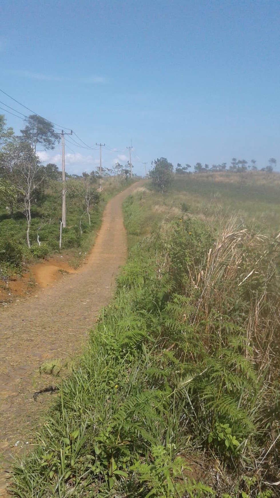 Dijual Tanah sangat luas di Desa Cihaur, kec Simpenan Sukabumi