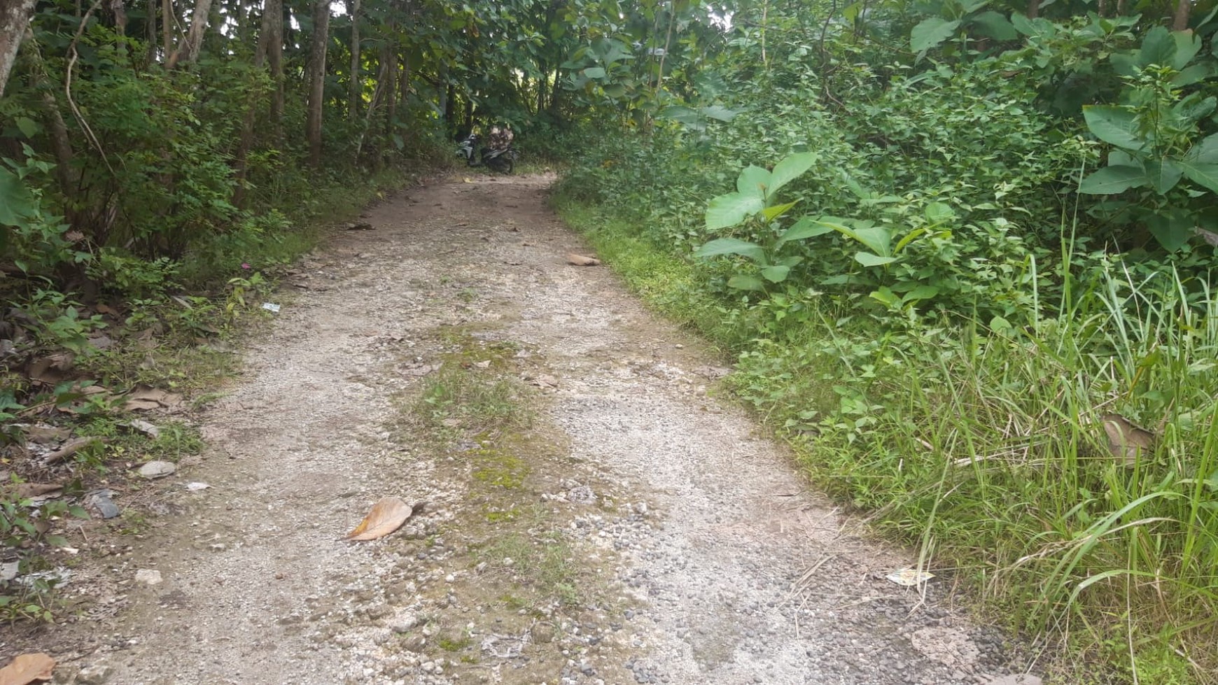 Land Freehold 300 Sqm In Great Location Kutuh Bali