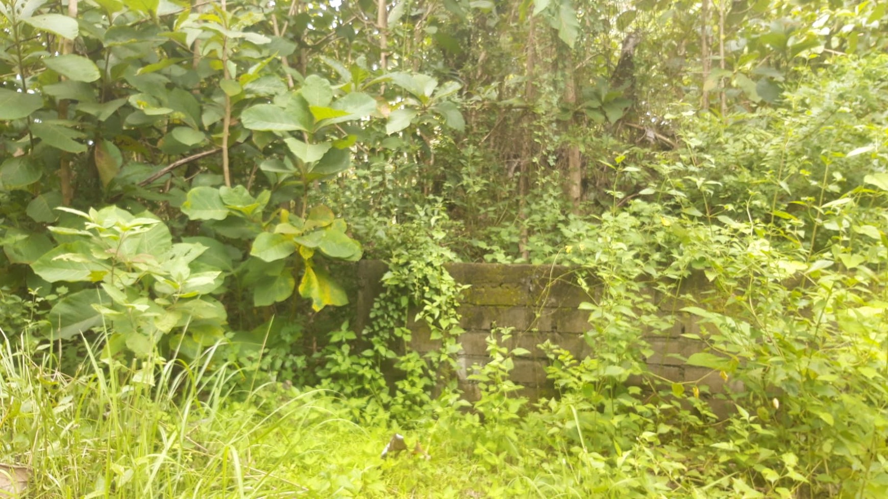 Land Freehold 300 Sqm In Great Location Kutuh Bali