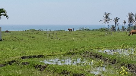 Land 3300 sqm Freehold with Rice field view and Ocean View