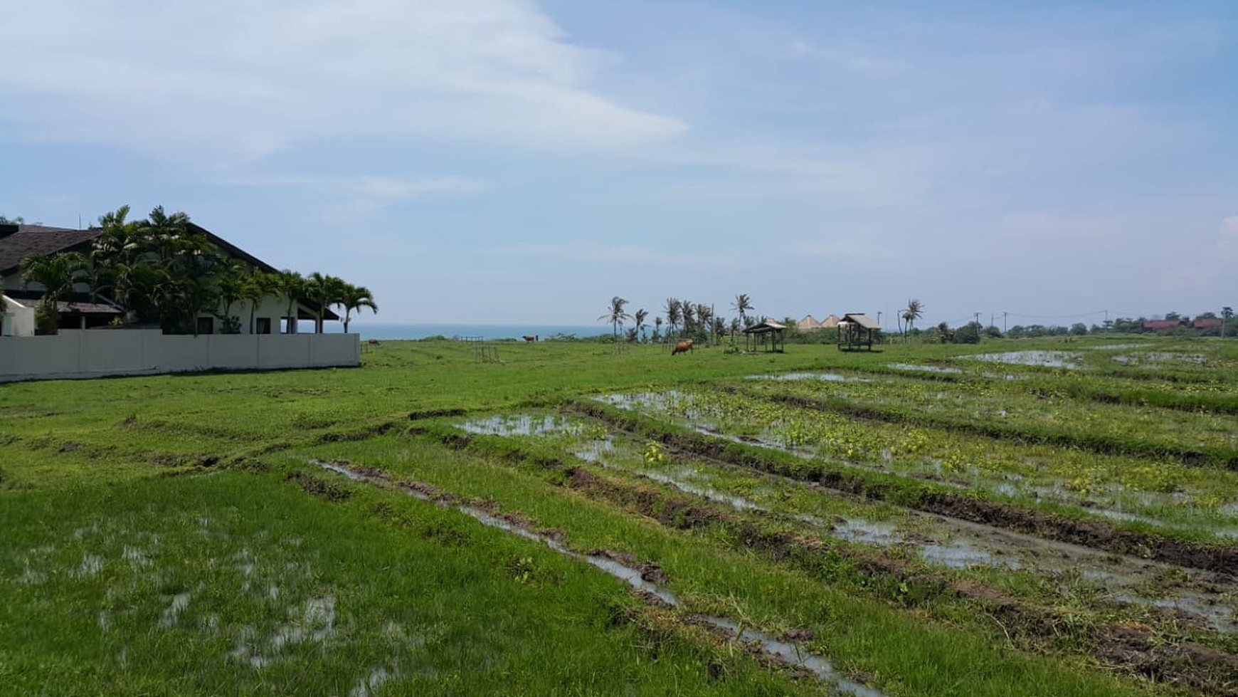 Land 3300 sqm Freehold with Rice field view and Ocean View