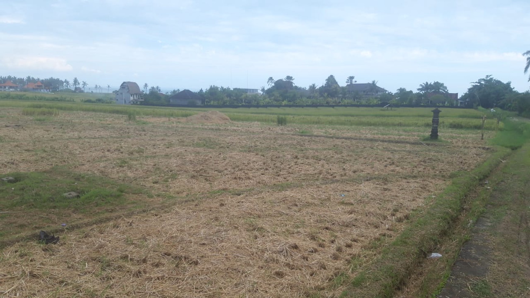 Land 3300 sqm Freehold with Rice field view and Ocean View