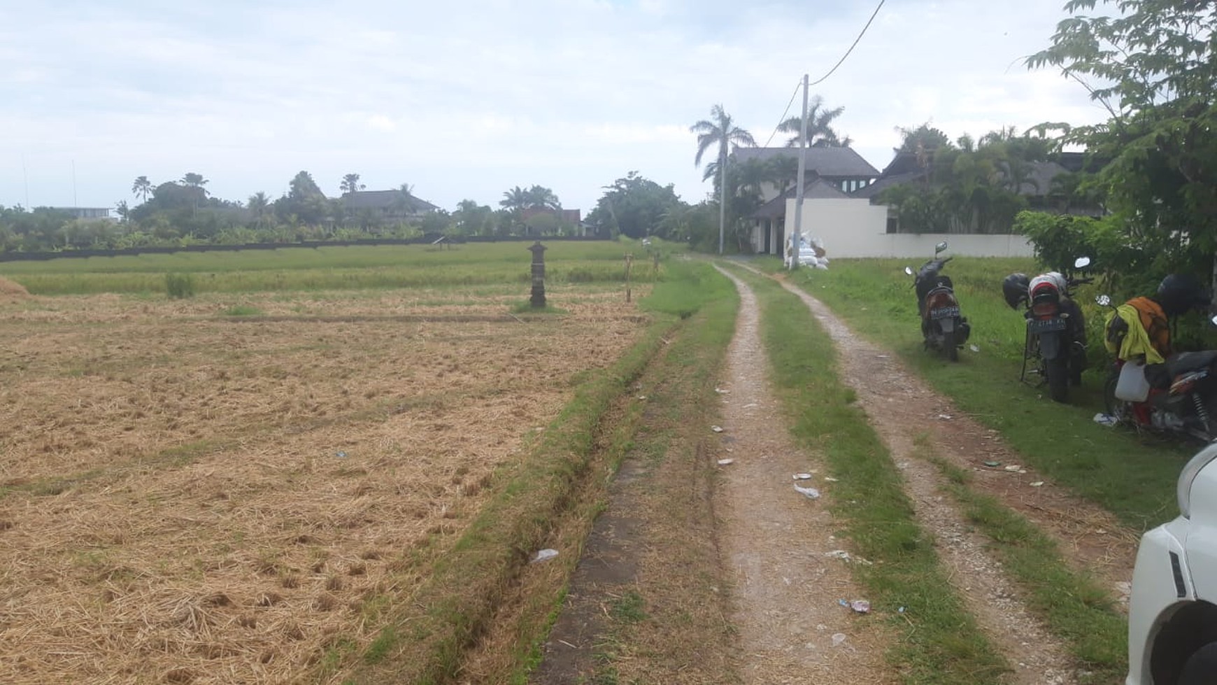 Land 3300 sqm Freehold with Rice field view and Ocean View