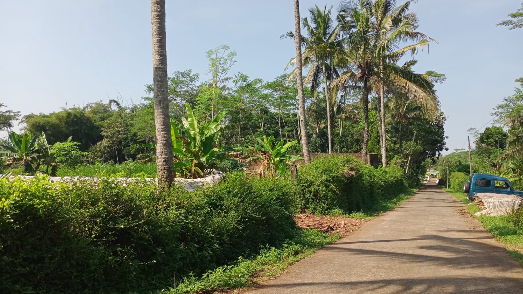 Tanah Pekarangan Luas 6575 Meter Persegi Lokasi Kaloran Temanggung 