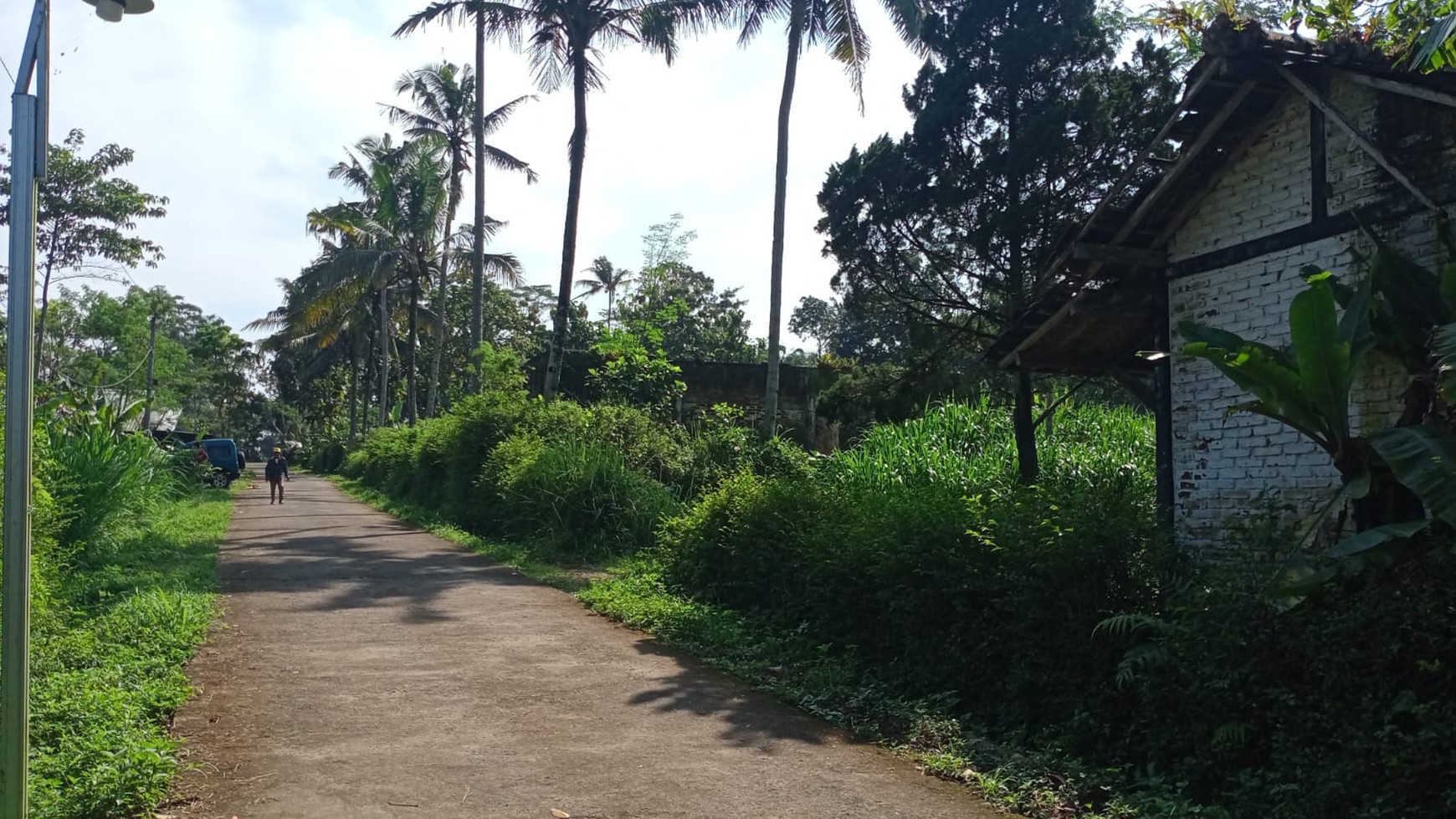 Tanah Pekarangan Luas 6575 Meter Persegi Lokasi Kaloran Temanggung 