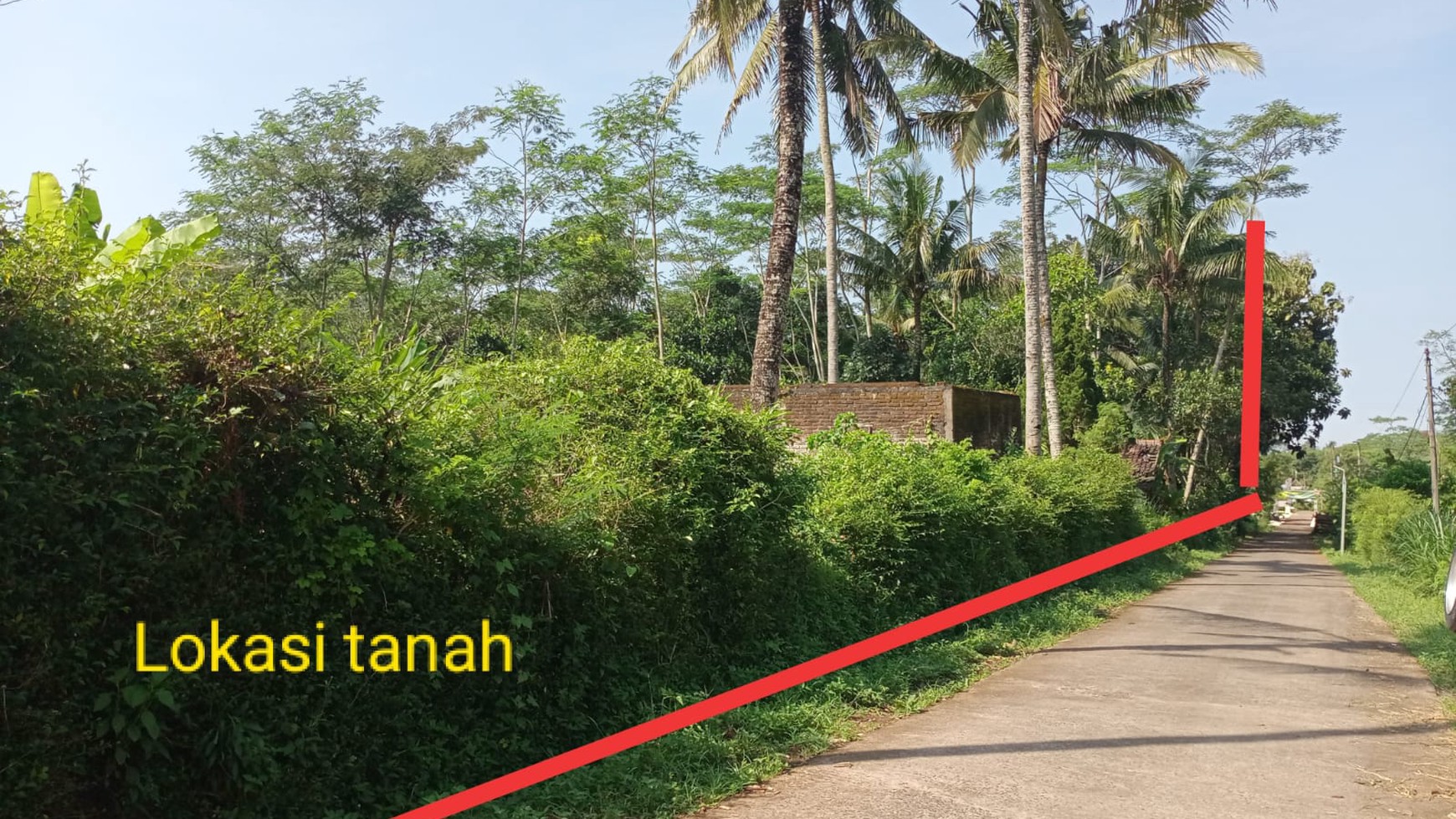 Tanah Pekarangan Luas 6575 Meter Persegi Lokasi Kaloran Temanggung 