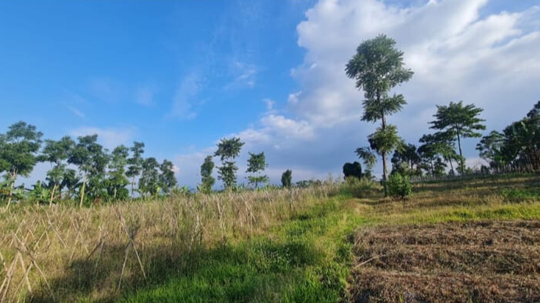 Dijual Tanah Kavling Luas 4.3 Ha Lokasi Di Cirumput, Kabupaten Cianjur