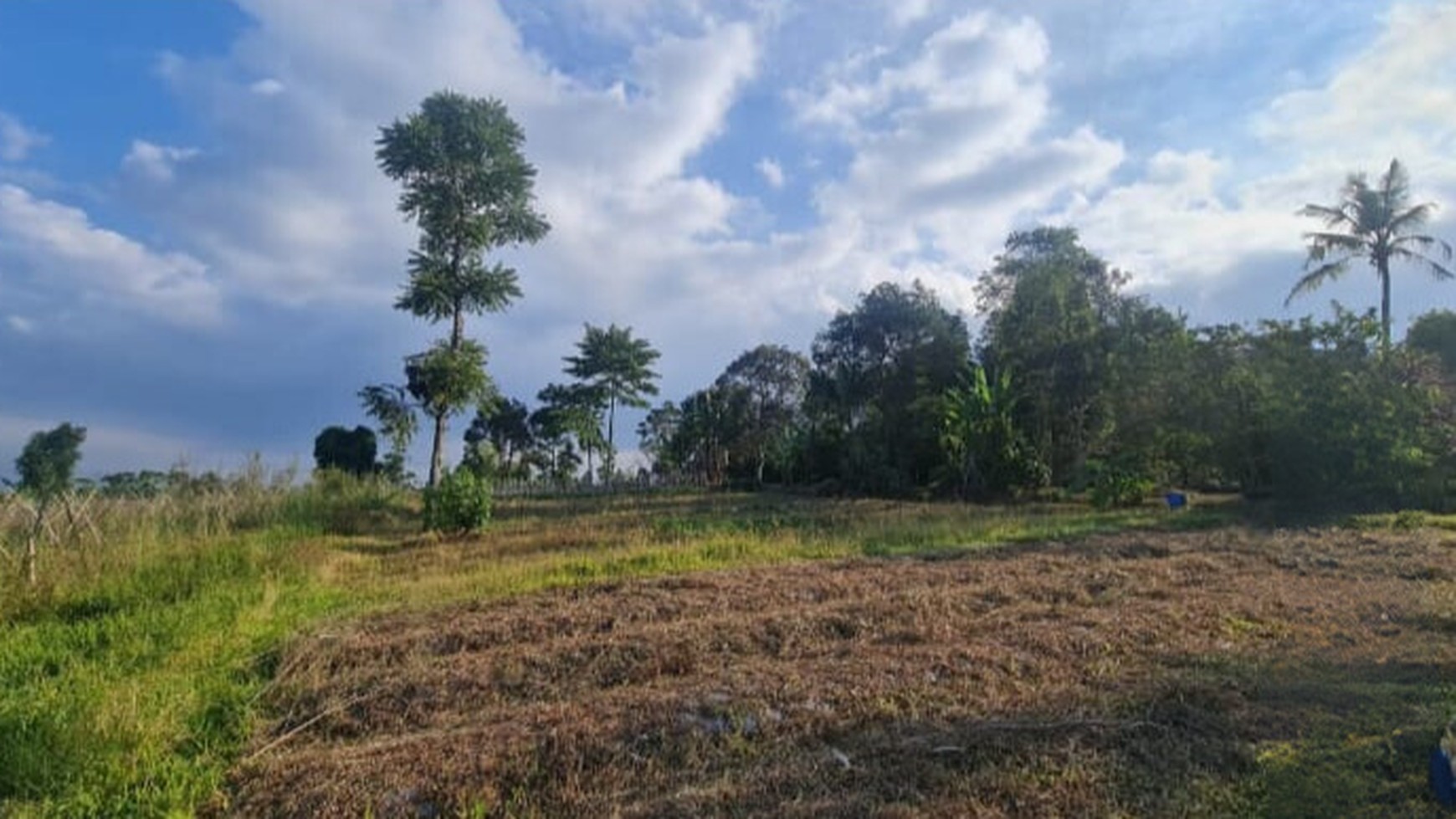 Dijual Tanah Kavling Luas 4.3 Ha Lokasi Di Cirumput, Kabupaten Cianjur