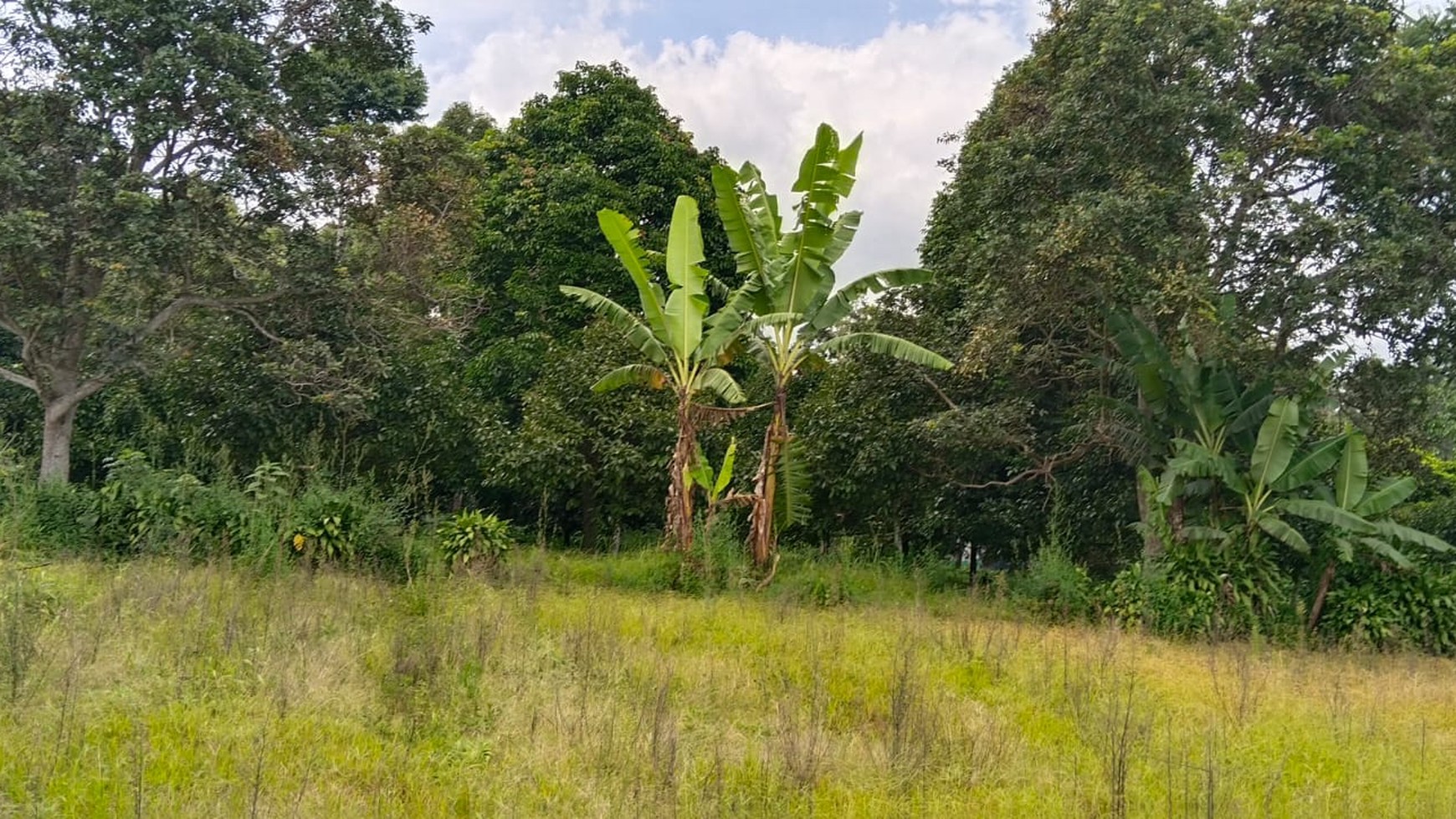 Dijual Tanah Kavling Luas 4.3 Ha Lokasi Di Cirumput, Kabupaten Cianjur