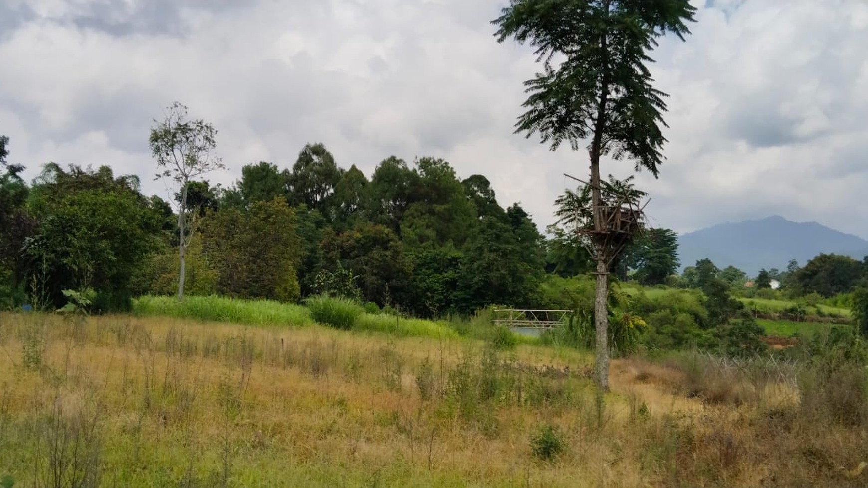 Dijual Tanah Kavling Luas 4.3 Ha Lokasi Di Cirumput, Kabupaten Cianjur