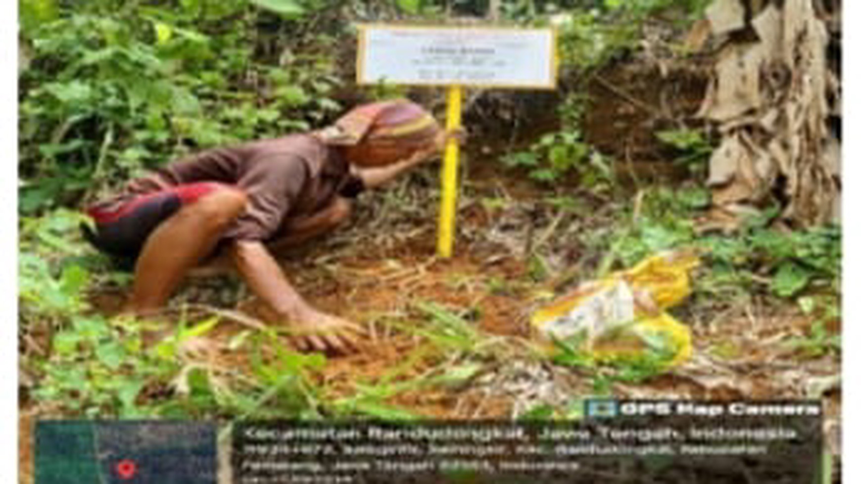  Tanah kebun di Desa Tanahbaya-Pemalang dekat dari Jalan Kabupaten