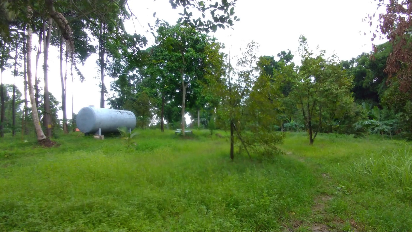 Lahan Luas Strategis Untuk Industri dan Perumahan di Pinggir Jalan Rangkasbitung