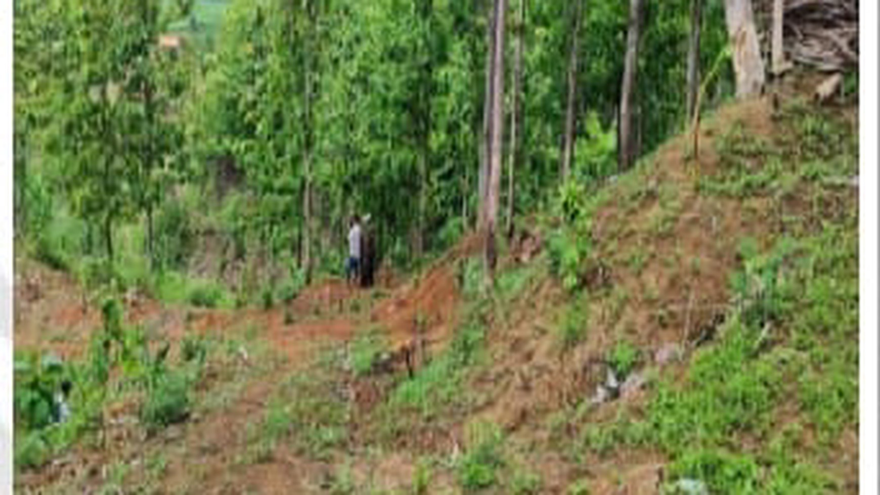 Tanah Kebun Lahan Kering di Desa Tanahbaya Lokasi Strategis