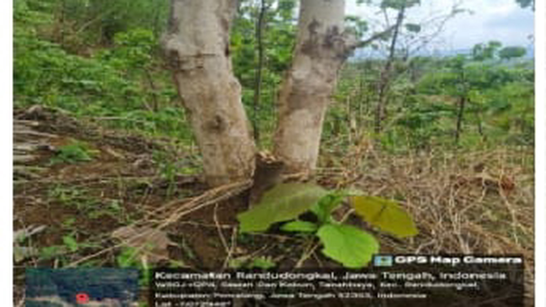 Tanah Kebun Lahan Kering di Desa Tanahbaya Lokasi Strategis