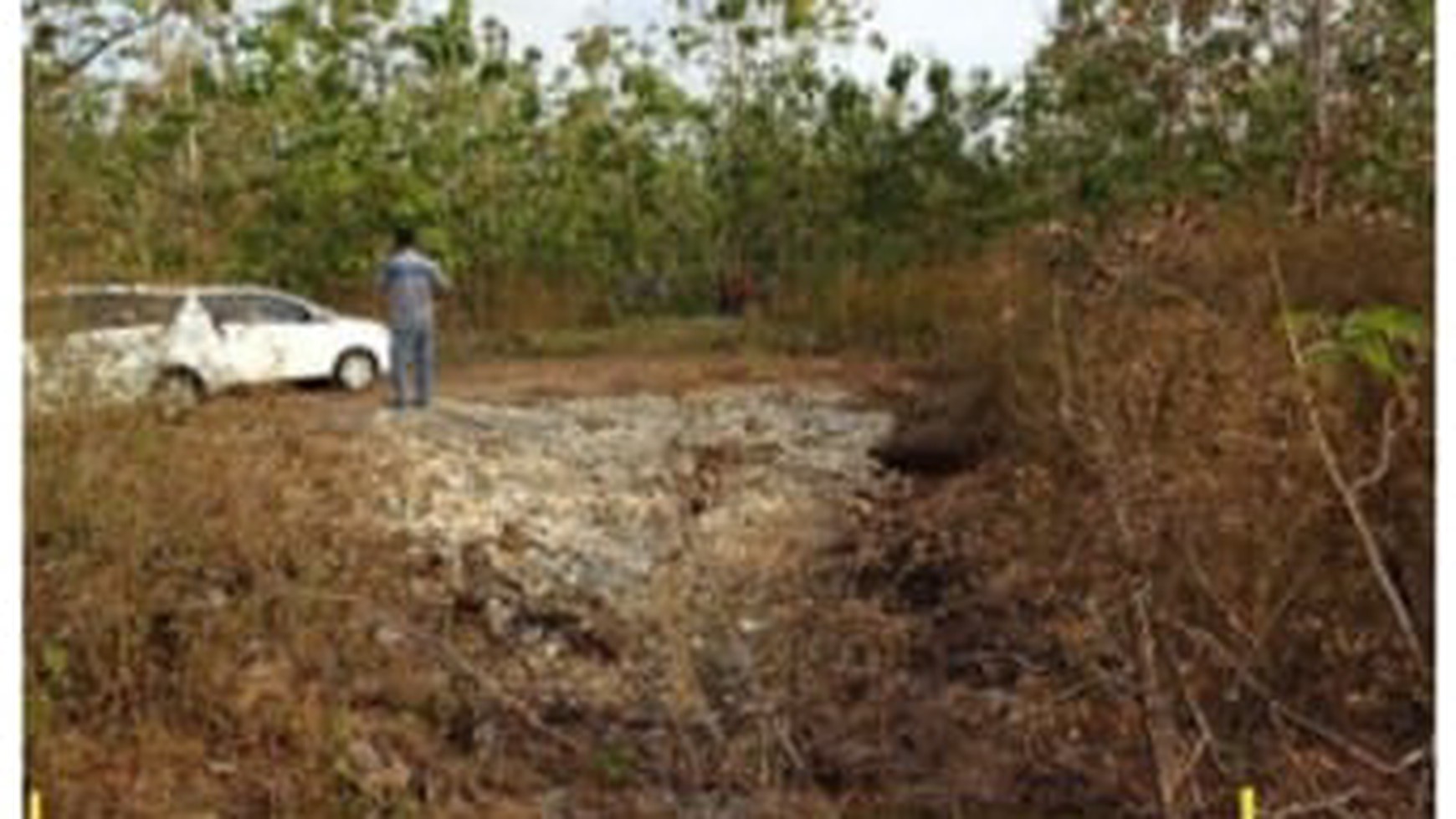 Tanah Kebun di Desa Giritontro Lokasi Strategis dan Kawasan Tanaman Pangan