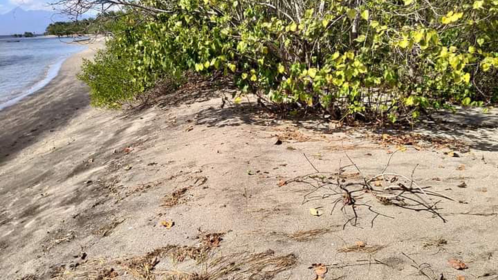 TANAH KOMERSIL DI SIKKA FLORES NTT, COCOK UNTUK USAHA BUDIDAYA PERIKANAN