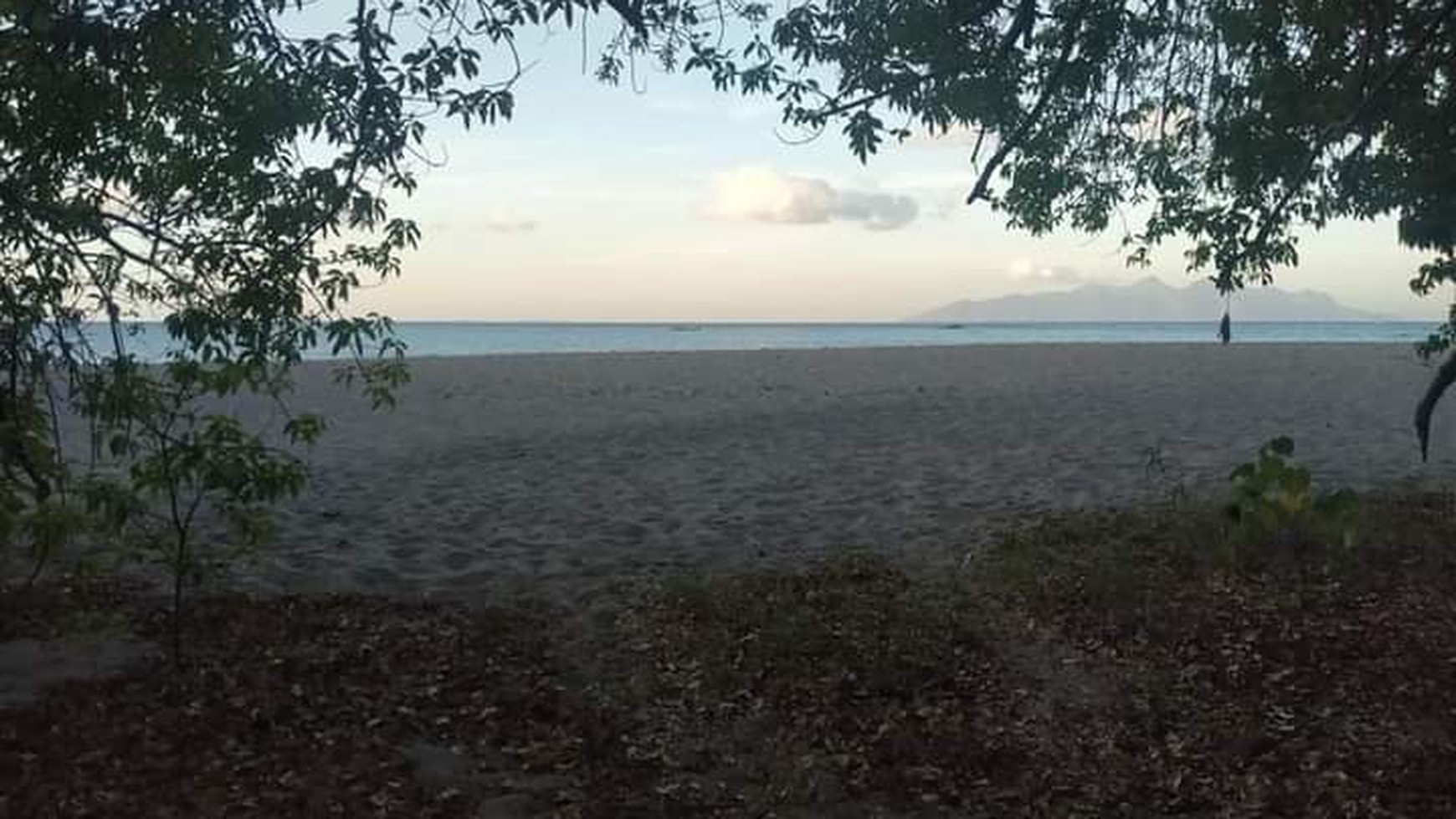 TANAH KOMERSIL DI SIKKA FLORES NTT, COCOK UNTUK USAHA BUDIDAYA PERIKANAN