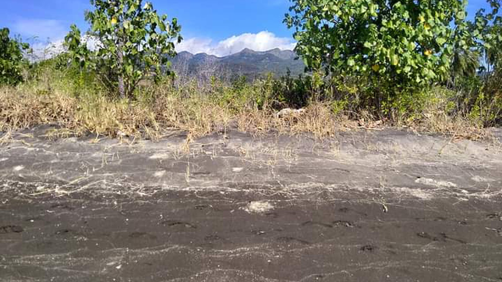 TANAH KOMERSIL DI SIKKA FLORES NTT, COCOK UNTUK USAHA BUDIDAYA PERIKANAN