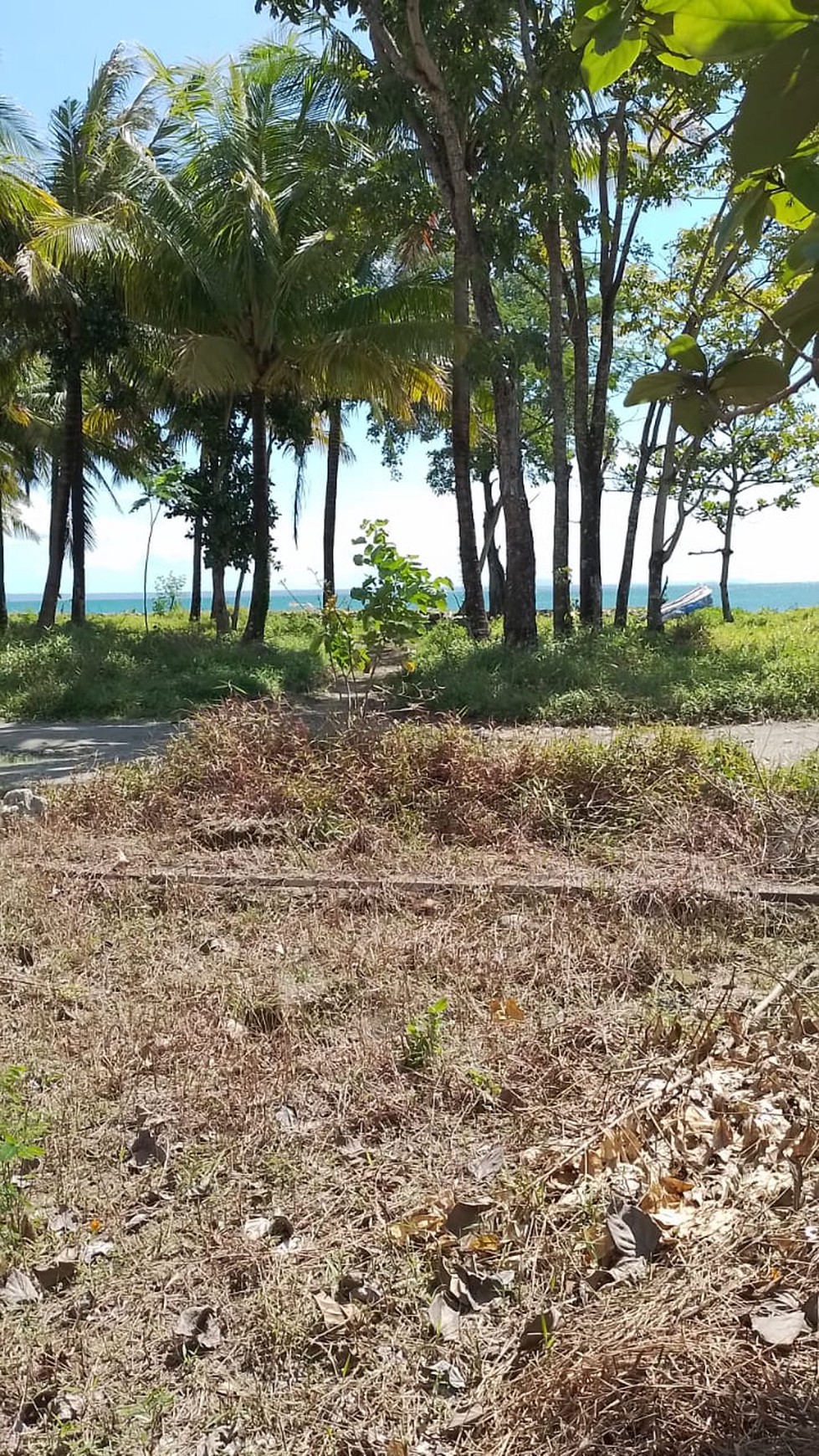 Kavling Siap Bangun dan Cocok Untuk Resort dan Hotel @Taman Nasional Ujung Kulon