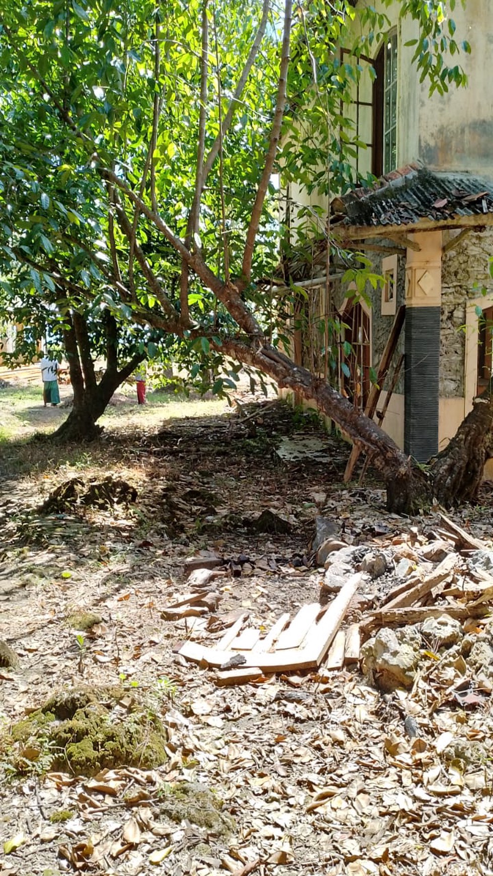 Kavling Siap Bangun dan Cocok Untuk Resort dan Hotel @Taman Nasional Ujung Kulon