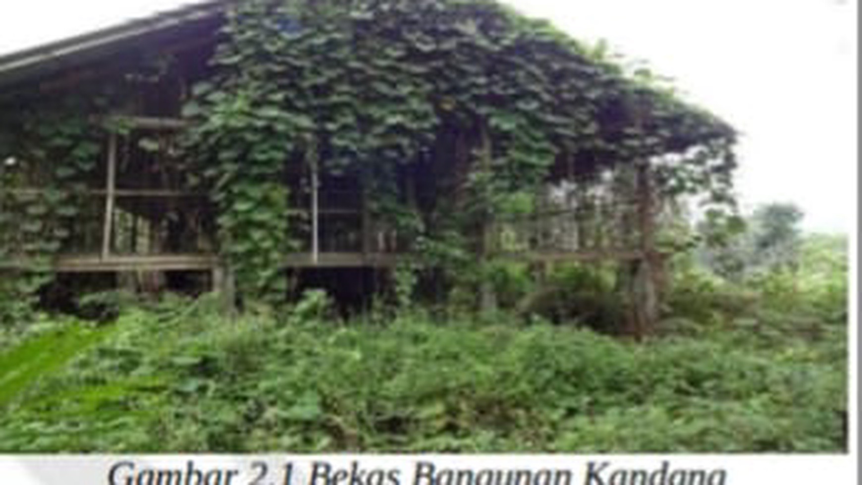 Dijual Tanah Bekas Kandang dan Terdapat Bangunan Kantor